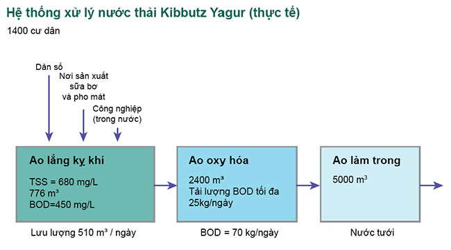 Sơ đồ hệ thống xử lý nước thải của Kibbutz Yagur. Thời gian lưu nước trong ao oxy hóa là 5,2 ngày vào mùa hè và 2,6 ngày vào mùa đông.