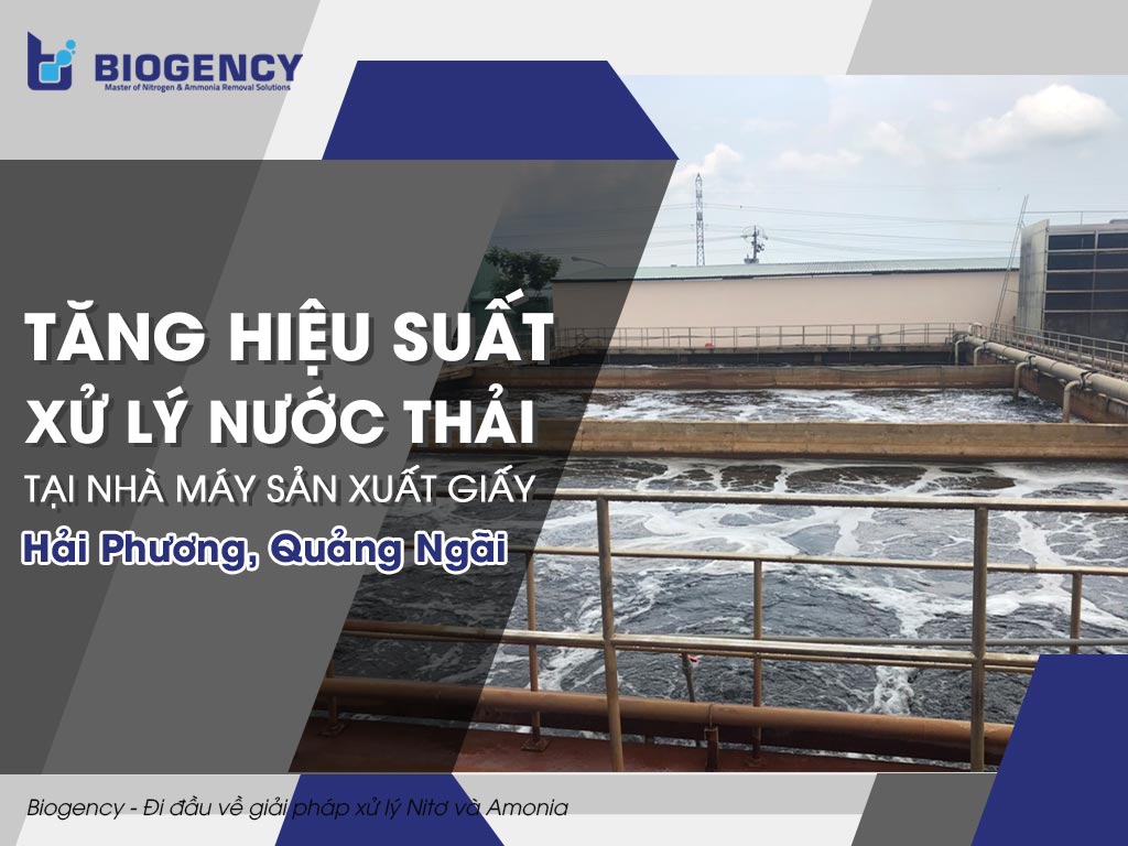 Tăng hiệu suất xử lý nước thải tại Nhà máy sản xuất giấy Hải Phương, Quảng Ngãi