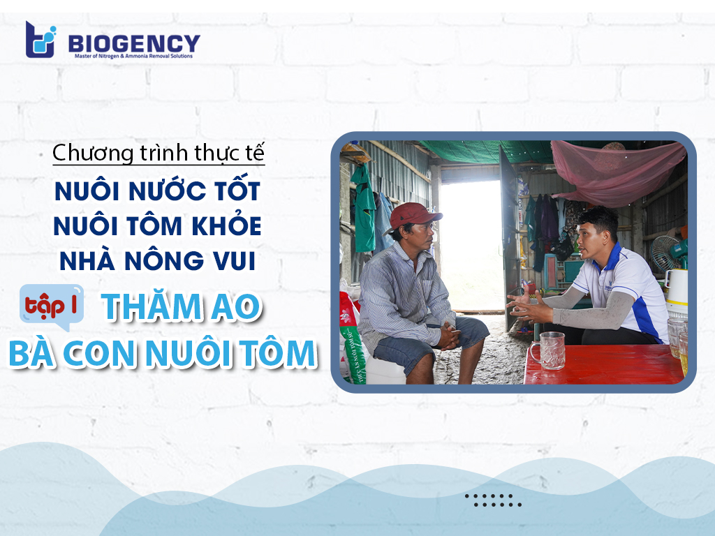 Thăm ao bà con nuôi tôm