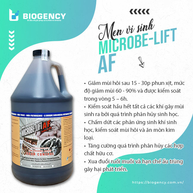 Men vi sinh khử mùi chăn nuôi Microbe-Lift AF (Animal Farm).