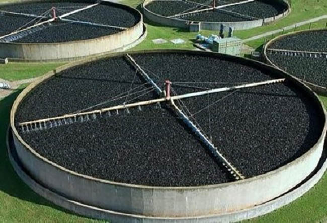 Bể lọc sinh học.