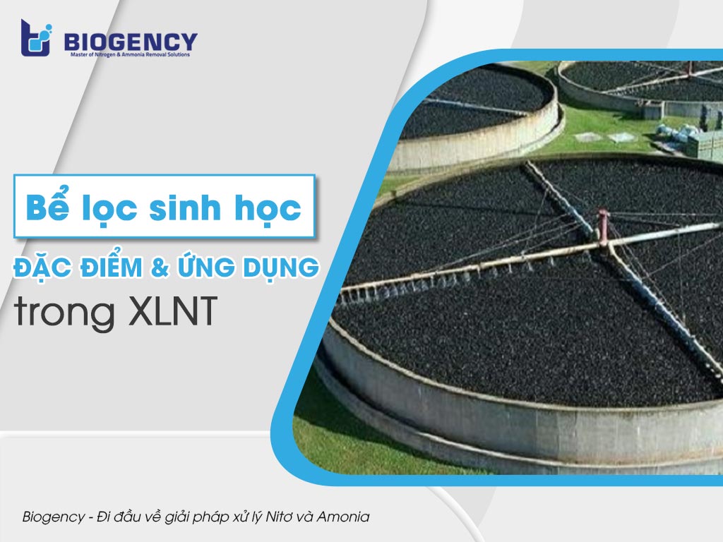 Bể lọc sinh học. Đặc điểm & Ứng dụng của bể lọc trong xử lý nước thải