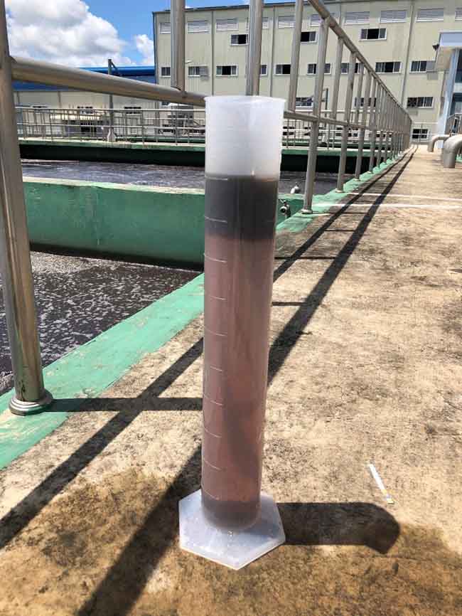Bùn hiếu khí lắng kém và bị nổi sau 30 lắng.