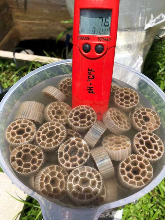 Đo pH tại bể hiếu khí.