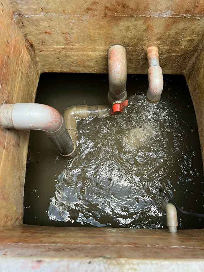 Nước thải đầu vào có màu đen, mùi hôi, hàm lượng COD, TSS, Tổng Nitơ cao.