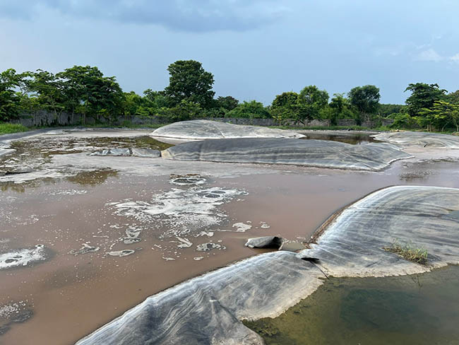Nước thải từ hoạt động chăn nuôi cũng là một trong những nguyên nhân gây nên mùi hôi.