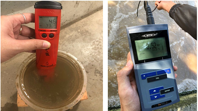 pH và oxy hòa tan (DO) đo được ở bể hiếu khí Aerotank.
