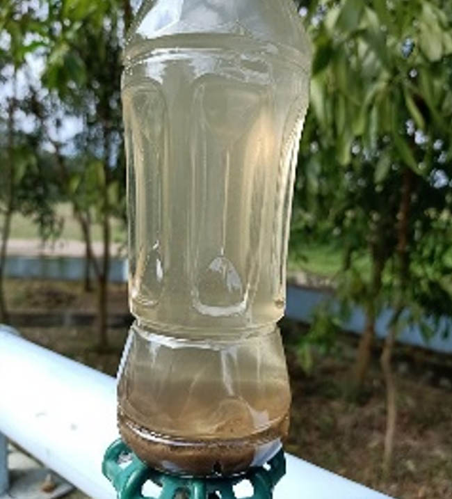 Sự cố bể Aerotank xảy ra do bùn thiếu dinh dưỡng.