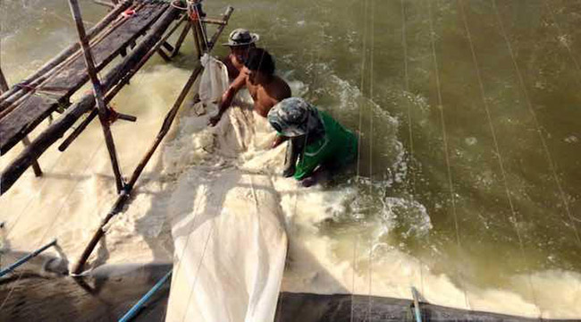 Sử dụng kết hợp với túi vải để cám gạo lên men lan tỏa đều khắp ao.