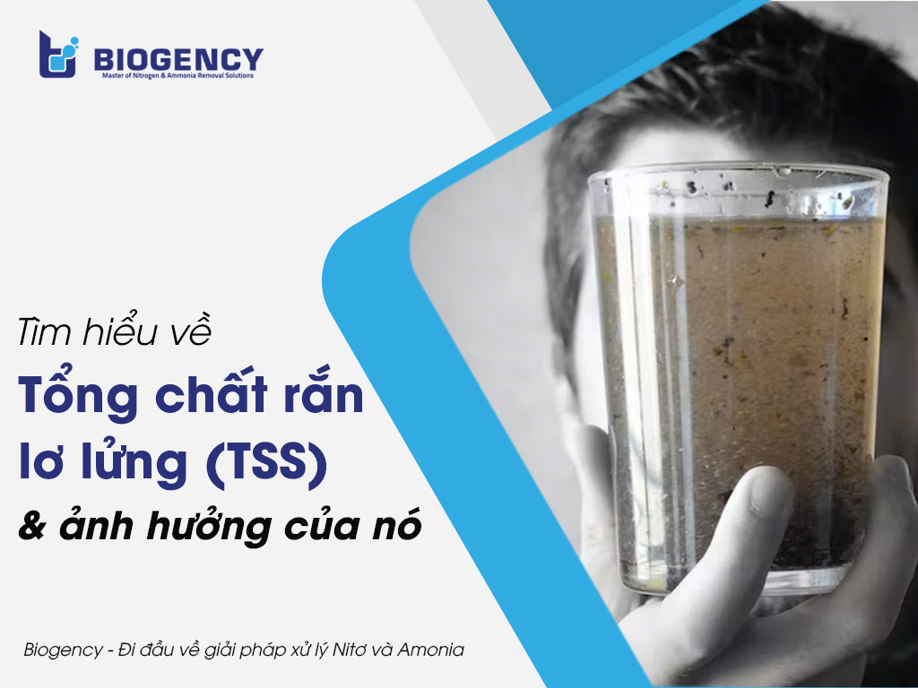 Tìm hiểu về Tổng chất rắn lơ lửng (TSS) và ảnh hưởng của nó đến môi trường và con người