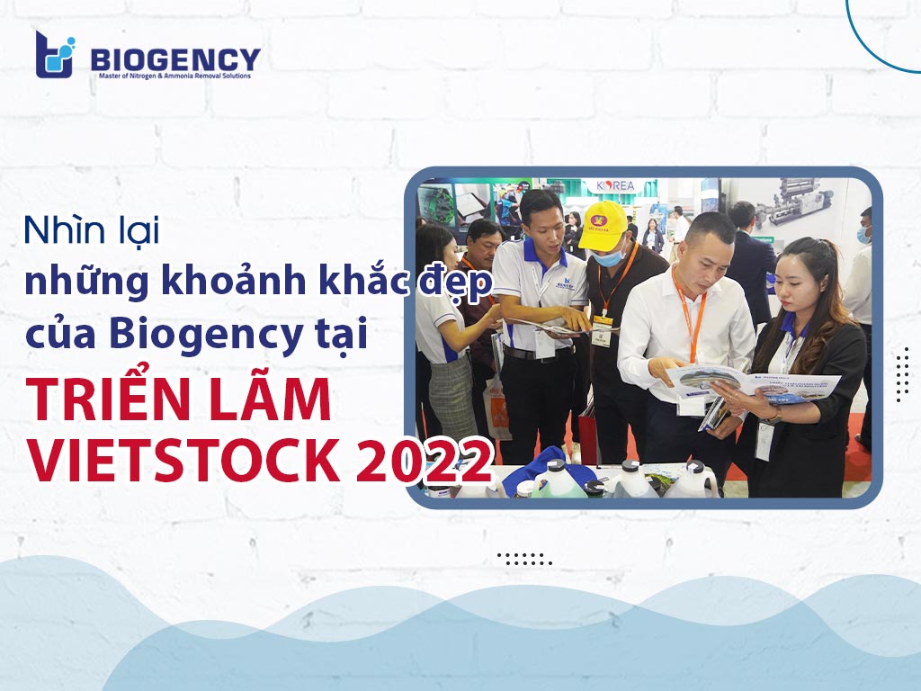 Vietstock 2022