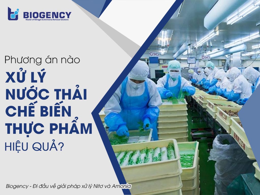 Phương án nào giúp xử lý nước thải chế biến thực phẩm hiệu quả?