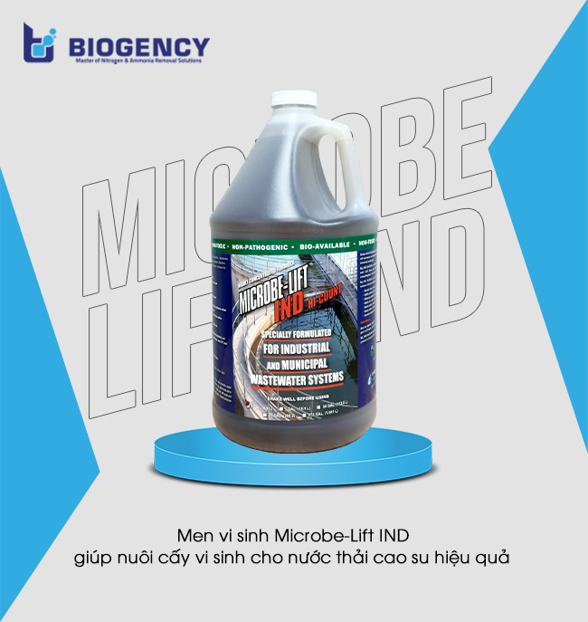 Men vi sinh Microbe-Lift IND giúp nuôi cấy vi sinh cho nước thải cao su hiệu quả.