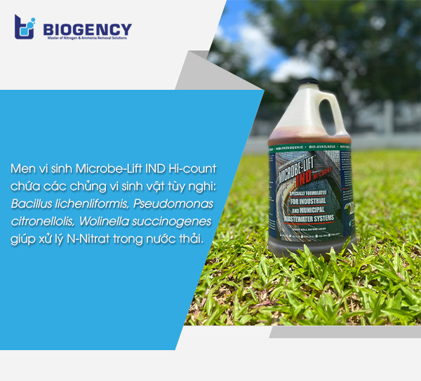 Men vi sinh Microbe-Lift IND Hi-count chứa các chủng vi sinh vật tùy nghi như Bacillus lichenliformis, Pseudomonas citronellolis, Wolinella succinogenes giúp xử lý N-Nitrat trong nước thải.