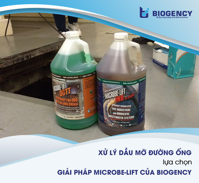 Giải pháp xử lý dầu mỡ đường ống bằng men vi sinh Microbe-Lift đến từ Biogency.