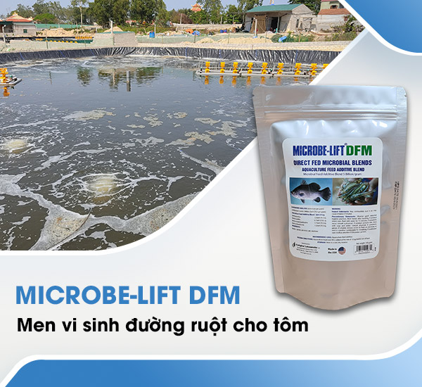 Men vi sinh đường ruột cho tôm Microbe-Lift DFM.