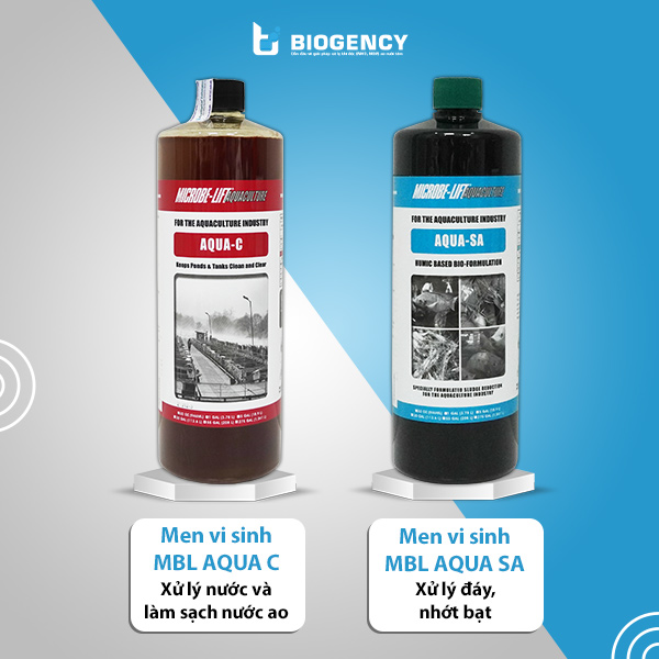 Men vi sinh Microbe-Lift AQUA C và AQUA SA giúp tạo môi trường nước lý tưởng nhất cho tôm phát triển khỏe mạnh.