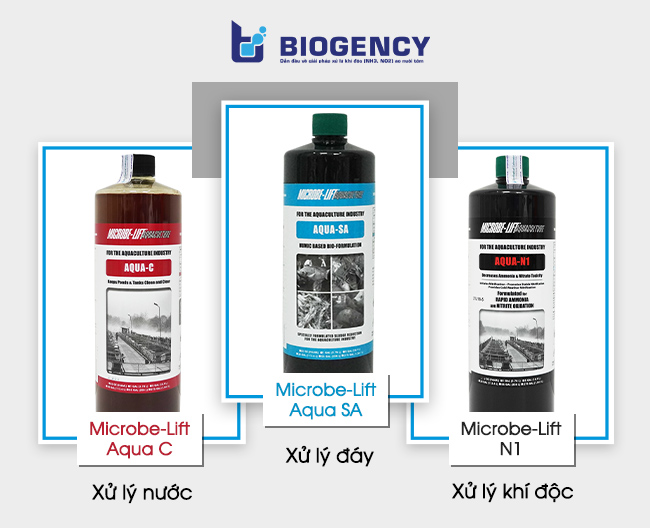 Men vi sinh Microbe-Lift giúp xử lý hiệu quả môi trường nước, từ đó phòng ngừa bệnh đốm trắng xuất hiện trên tôm trong suốt quá trình thả nuôi.