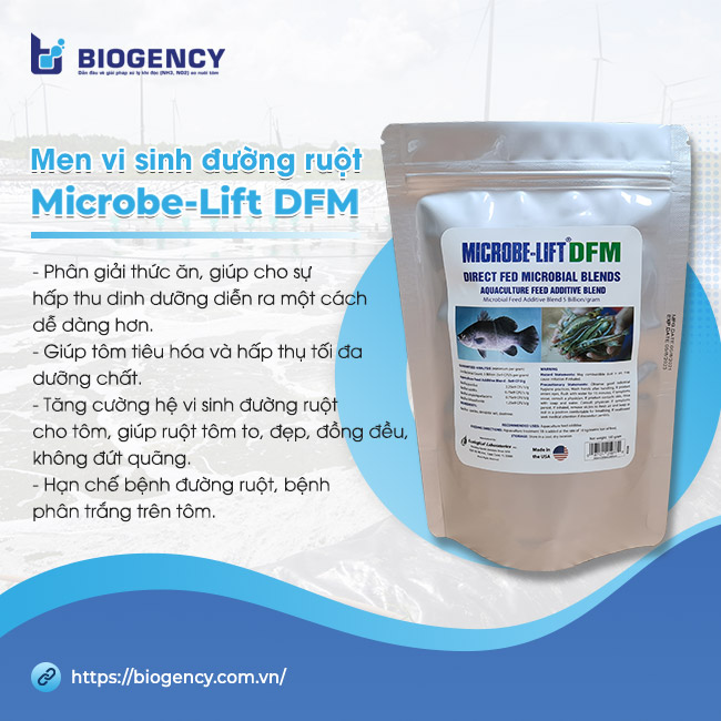 Men vi sinh đường ruột Microbe-Lift DFM.