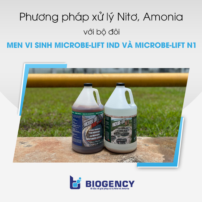 Phương pháp xử lý Nitơ, Amonia với bộ đôi Men vi sinh Microbe-Lift IND và Microbe-Lift N1.