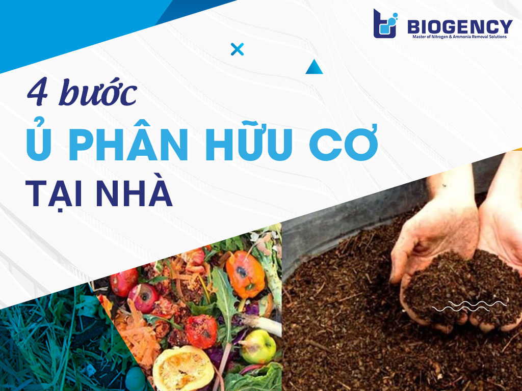 4 bước ủ phân hữu cơ tại nhà