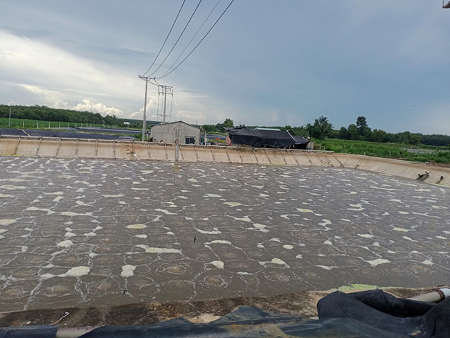 Bể hiếu khí trong hệ thống xử lý nước thải tinh bột mì.