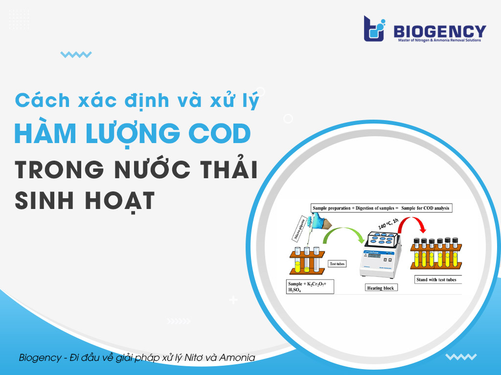 7. Vai Trò Của COD Trong Việc Bảo Vệ Sức Khỏe Cộng Đồng