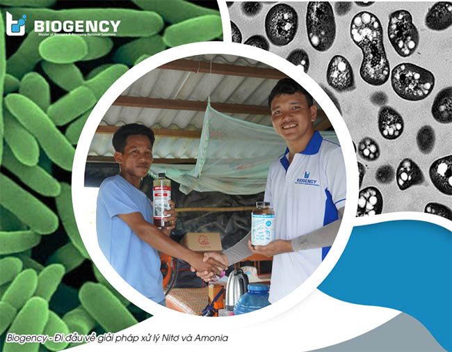 Kỹ sư thủy sản của BIOGENCY gặp gỡ khách hàng khi đang sử dụng sản phẩm vi sinh Microbe-Lift.