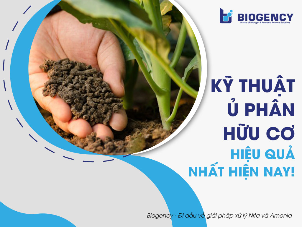Kỹ thuật ủ phân hữu cơ hiệu quả nhất hiện nay!