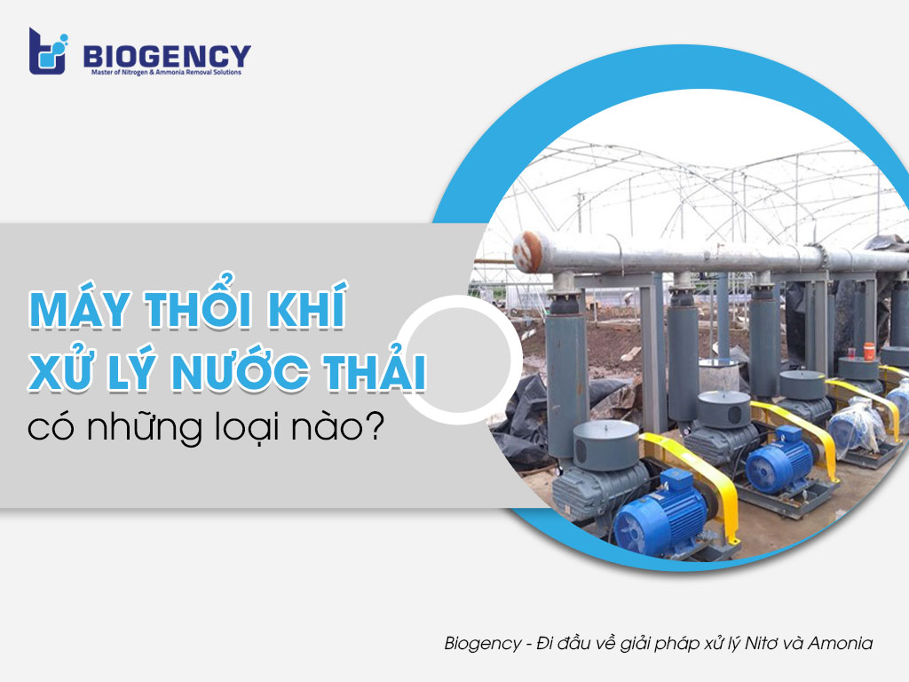 Máy thổi khí xử lý nước thải có những loại nào?