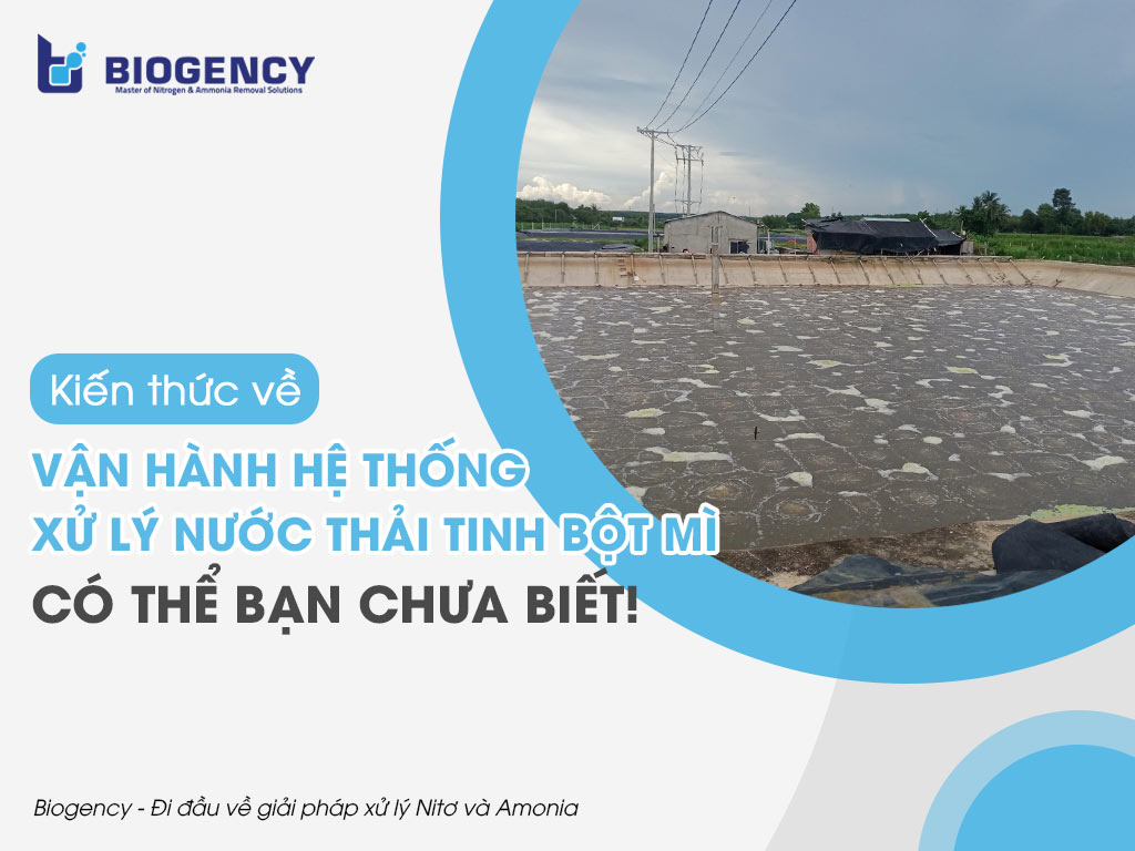 Kiến thức về vận hành hệ thống xử lý nước thải tinh bột mì, có thể bạn chưa biết!
