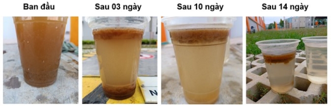 Quá trình phục hồi bùn vi sinh ở bể Anoxic và quá trình khử Nitrat.