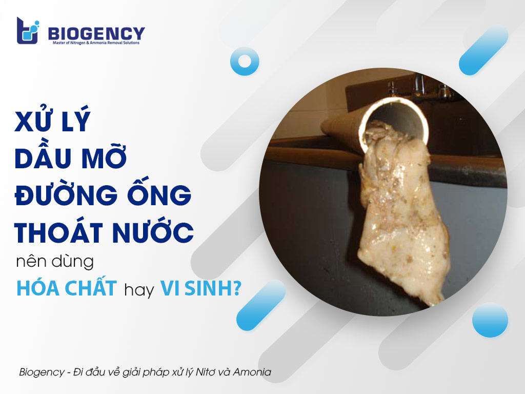 Xử lý dầu mỡ đường ống thoát nước, Nên dùng hóa chất hay vi sinh?