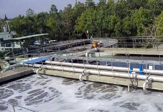Xử lý nước thải bằng phương pháp sinh học.
