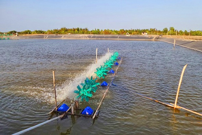 Độ kiềm có khả năng trung hòa axit của nước trong ao nuôi tôm.