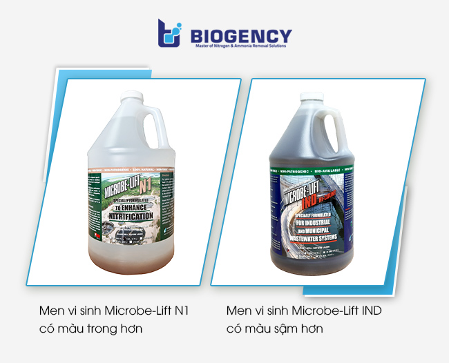 Men vi sinh Microbe-Lift N1 có màu trong hơn, men vi sinh Microbe-Lift IND có màu sậm hơn.