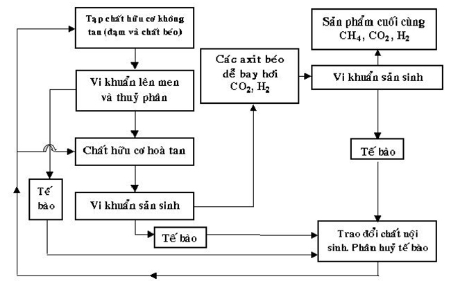 Sơ đồ quá trình phân hủy kỵ khí.