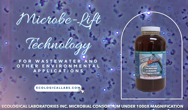 Men vi sinh Microbe-Lift IND là dòng sản phẩm chứa đa dạng chủng vi sinh vật nhất trên thị trường.