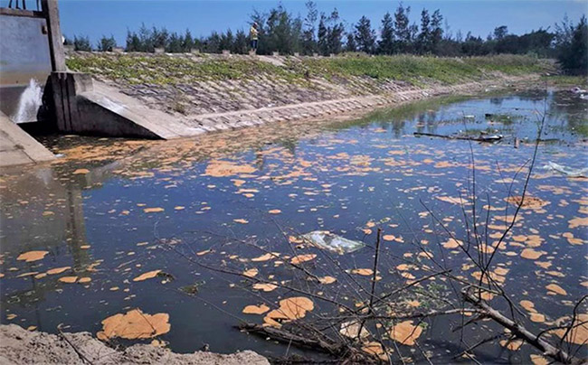 Nước thải khu công nghiệp làm ô nhiễm môi trường nước.