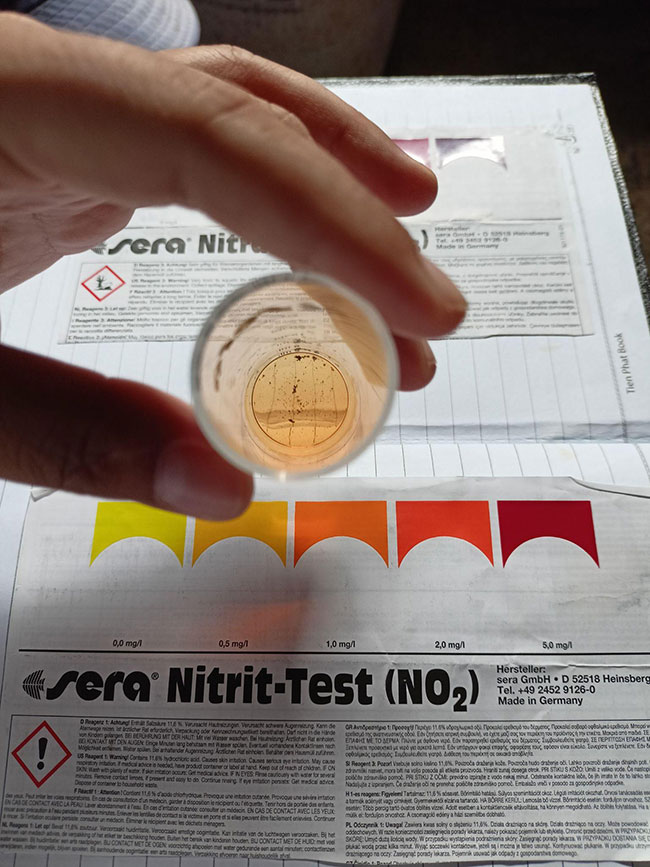 Pha loãng mẫu đúng cách sẽ giúp việc test khí độc NO2 được chính xác.