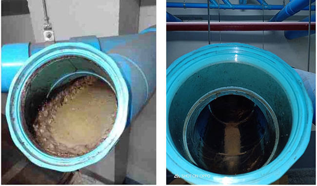 Đường ống thoát nước của khách sạn trước (hình trái) và sau (hình phải) khi áp dụng công nghệ vi sinh Microbe-Lift.