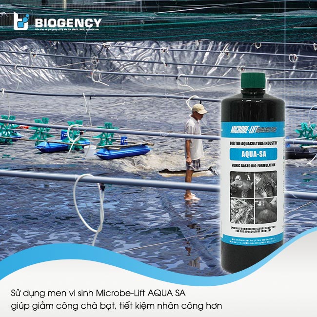 Sử dụng men vi sinh Microbe-Lift AQUA SA giúp giảm công chà bạt, tiết kiệm nhân công hơn.