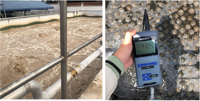 Nồng độ oxy hòa tan trong bể hiếu khí.