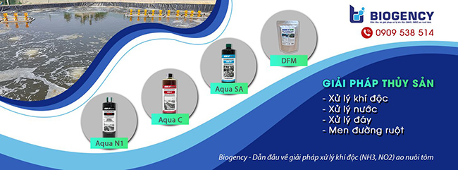 Quy trình nuôi tôm với men vi sinh Microbe-Lift giúp giảm thiểu tần suất thay nước và lượng nước thay.