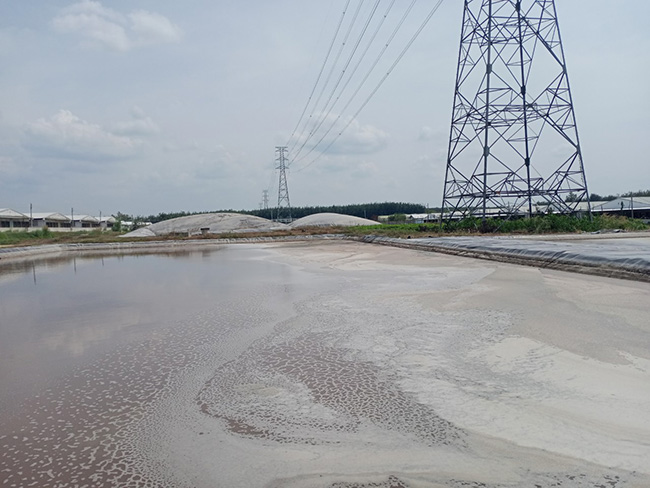 Bể lắng được ứng dụng trong xử lý nước thải chăn nuôi heo.