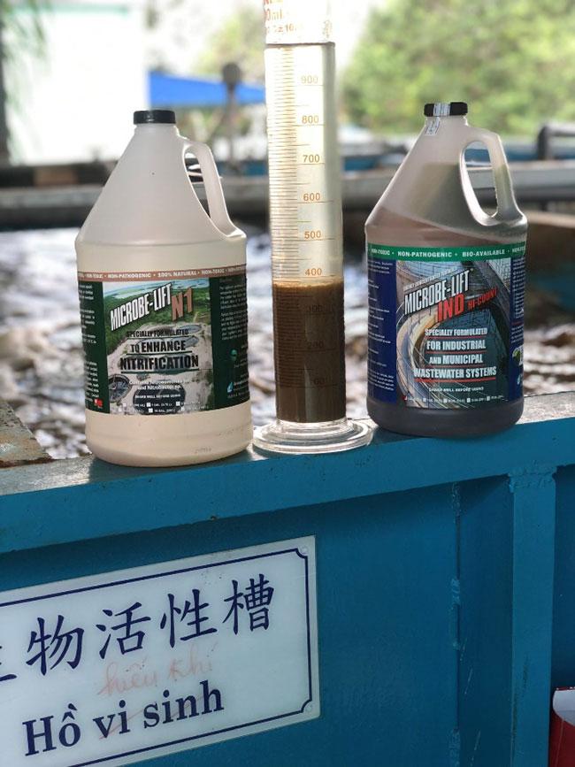 Cặp đôi vàng trong làng xử lý Amoni và Nitơ (MicrobeLift IND & MicrobeLift N1).