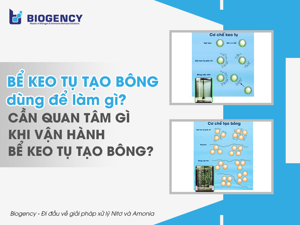 Bể keo tụ tạo bông dùng để làm gì? Cần quan tâm gì khi vận hành bể keo tụ tạo bông?