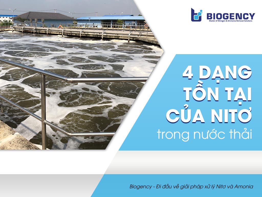 4 dạng tồn tại của Nitơ trong nước thải