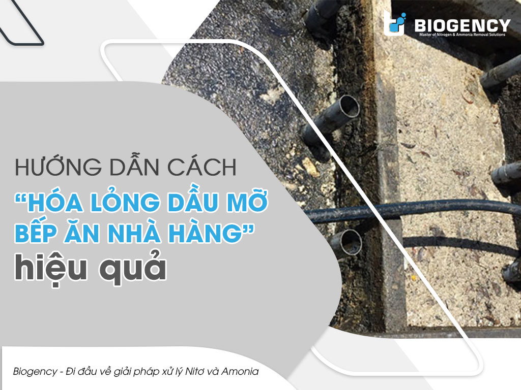 Hướng dẫn cách “hóa lỏng dầu mỡ bếp ăn nhà hàng” hiệu quả