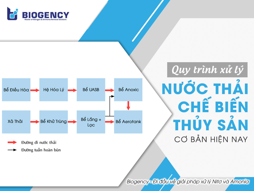 Quy trình xử lý nước thải chế biến thủy sản cơ bản hiện nay